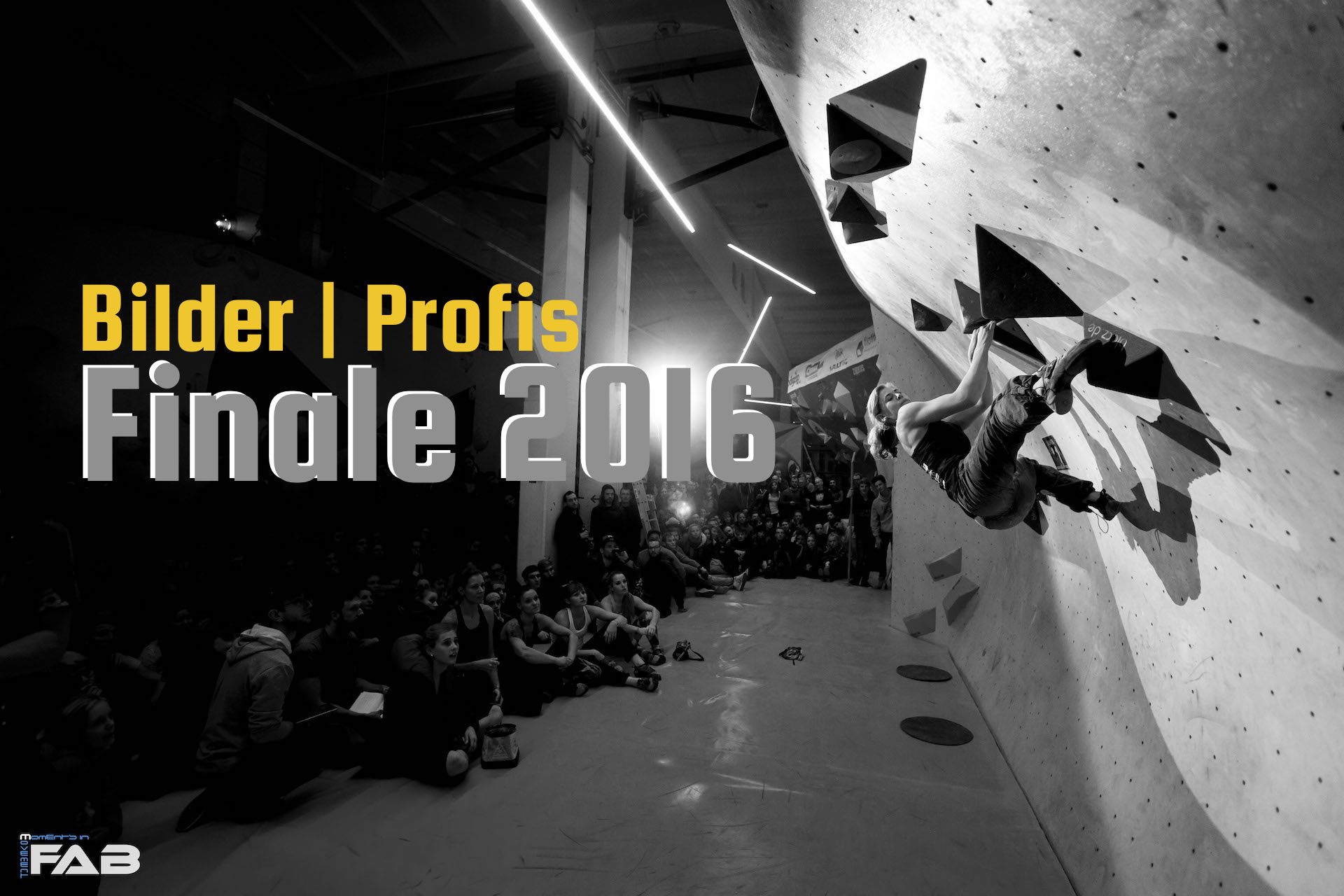 Finale | Profis